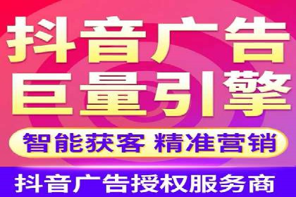 行业领先SEM服务公司案例研究